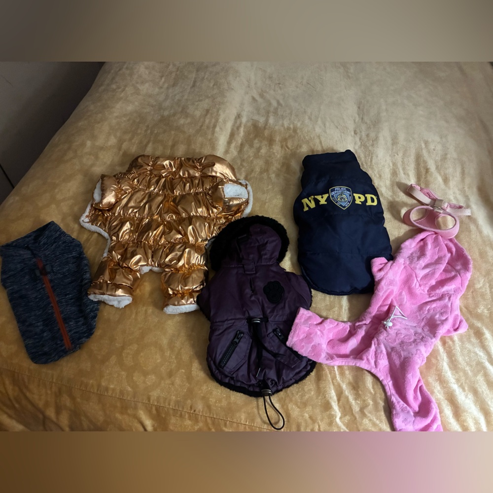 Assorted Pet Clothing Collection